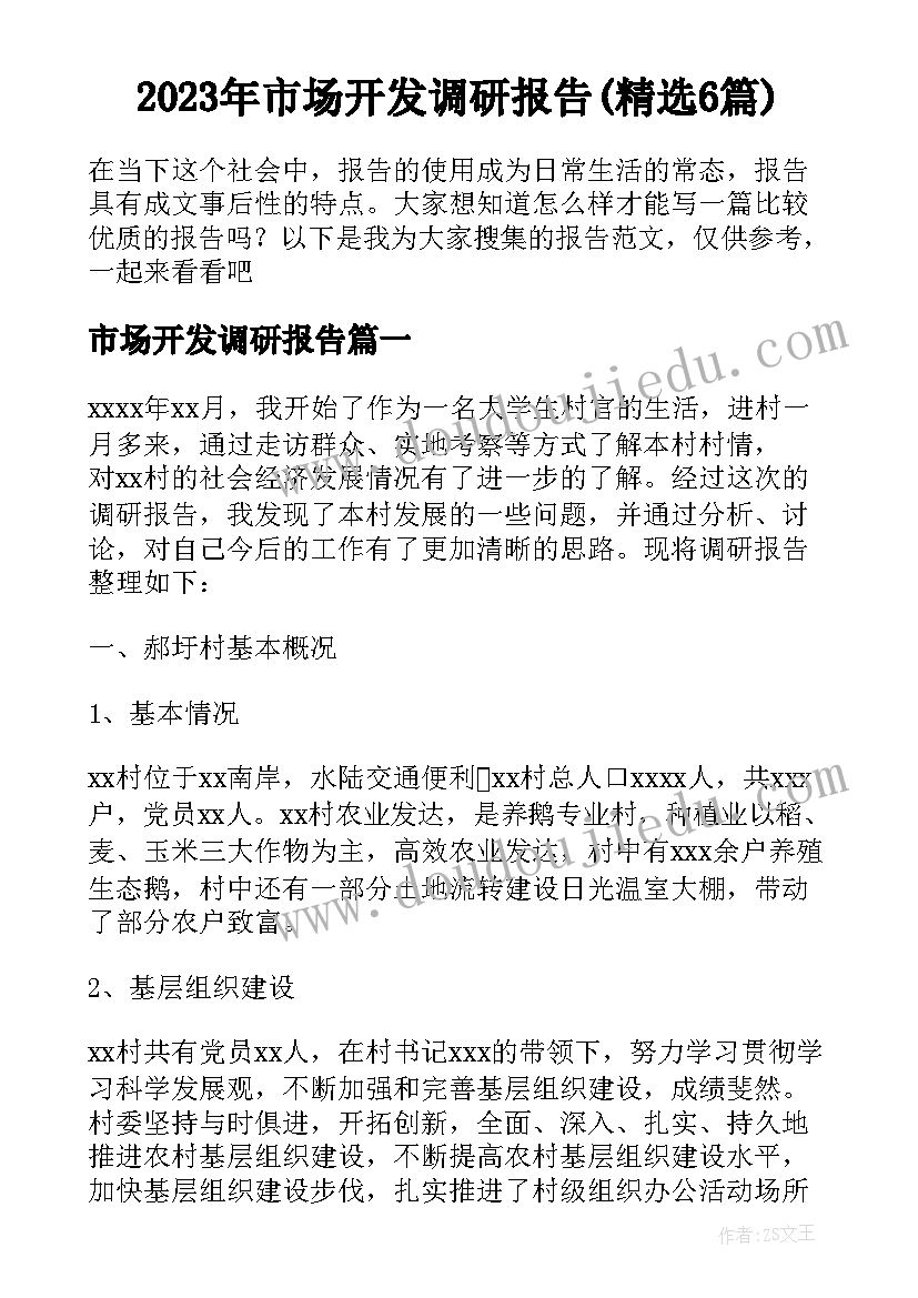 2023年市场开发调研报告(精选6篇)