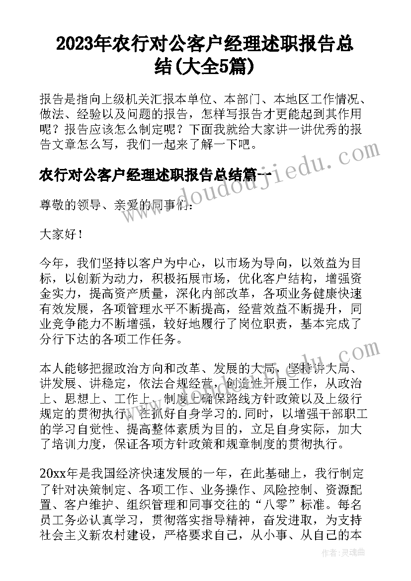 2023年农行对公客户经理述职报告总结(大全5篇)