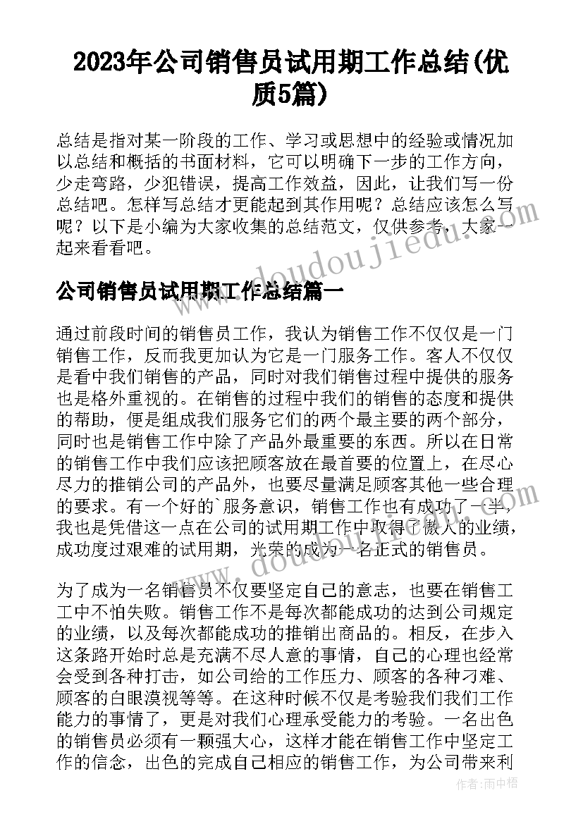 2023年公司销售员试用期工作总结(优质5篇)