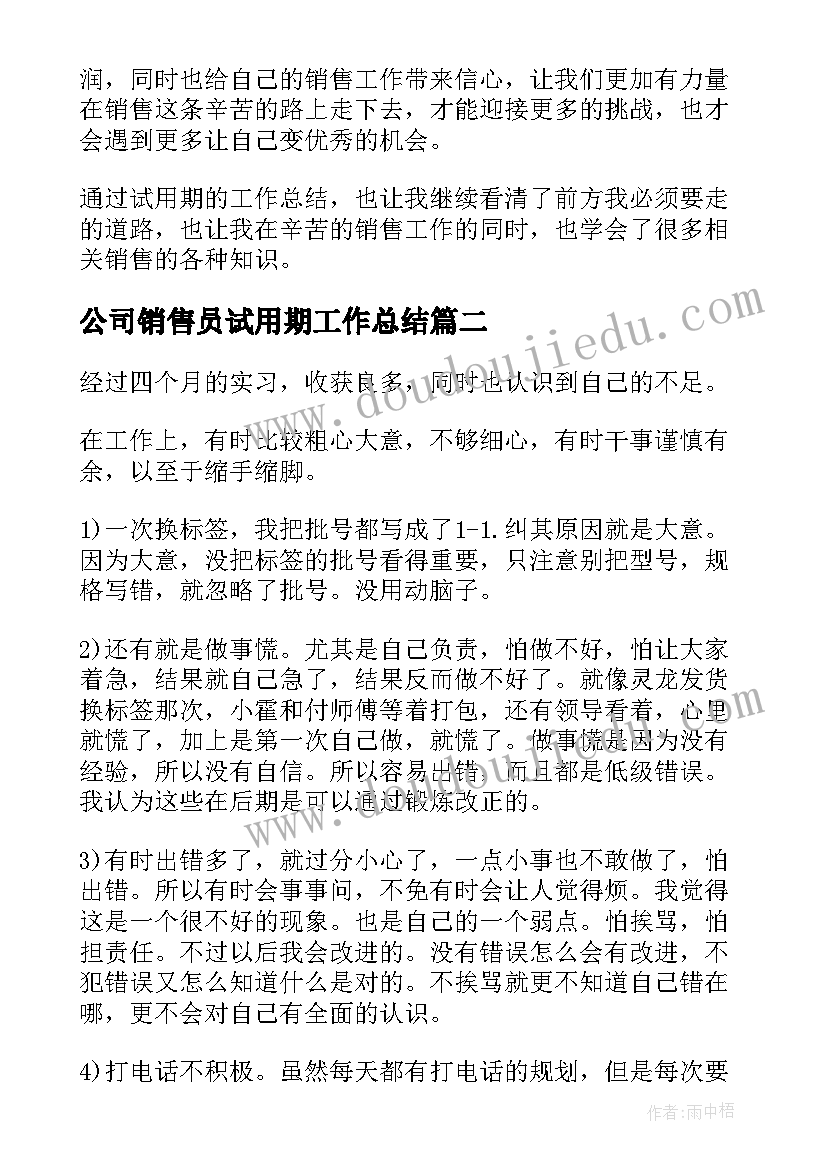 2023年公司销售员试用期工作总结(优质5篇)