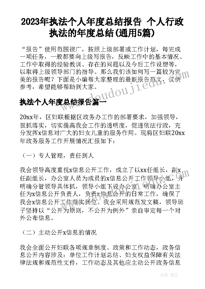 2023年执法个人年度总结报告 个人行政执法的年度总结(通用5篇)