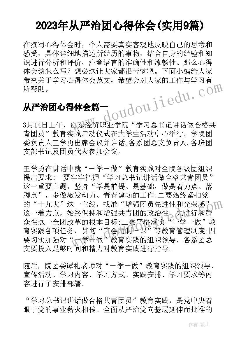 2023年从严治团心得体会(实用9篇)