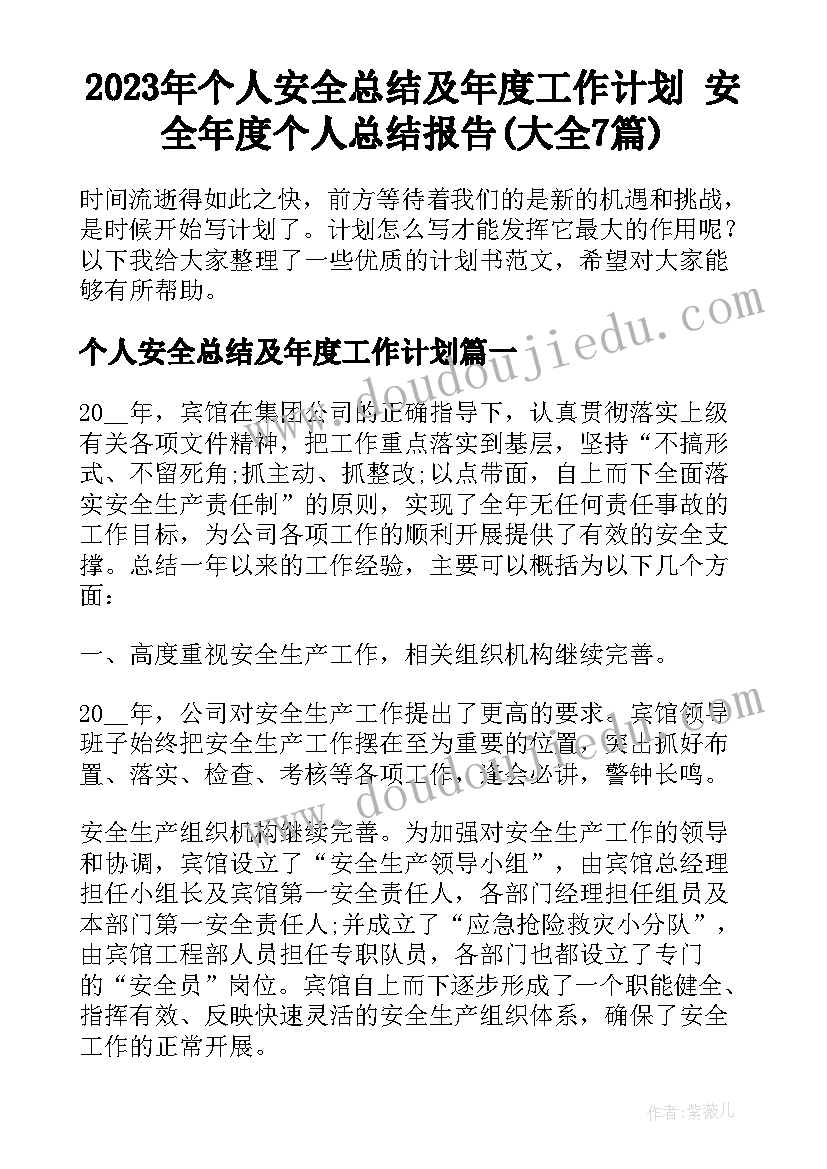 2023年个人安全总结及年度工作计划 安全年度个人总结报告(大全7篇)