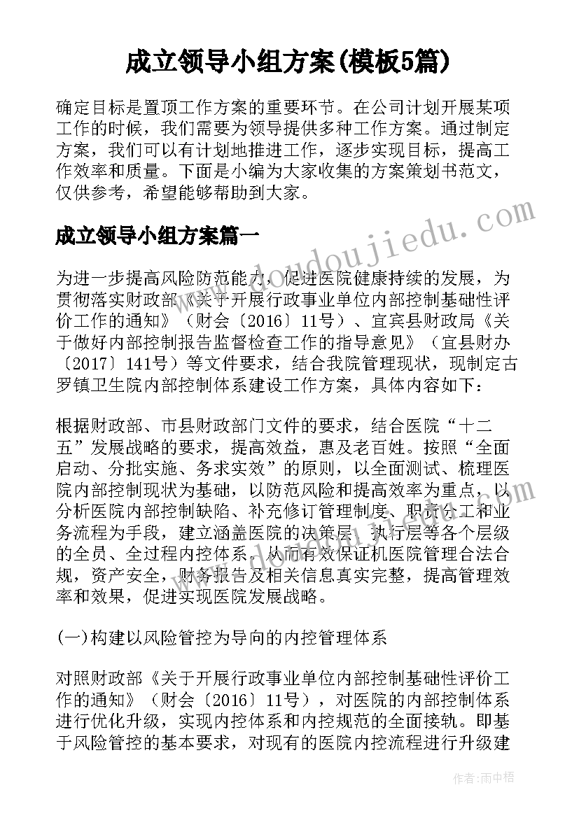 成立领导小组方案(模板5篇)