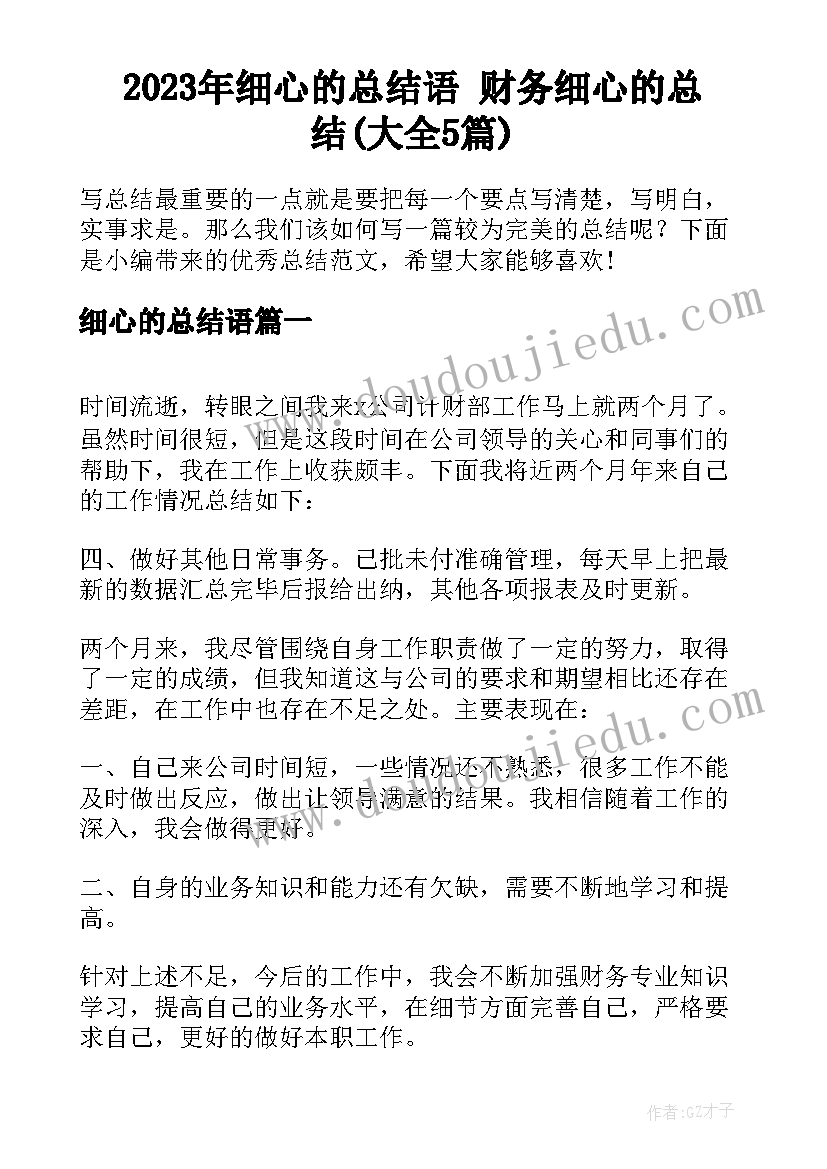 2023年细心的总结语 财务细心的总结(大全5篇)