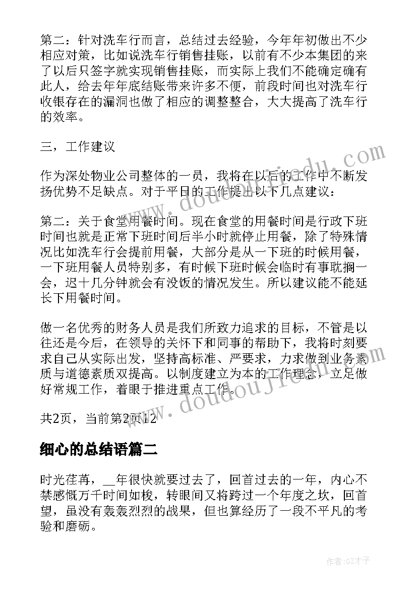 2023年细心的总结语 财务细心的总结(大全5篇)