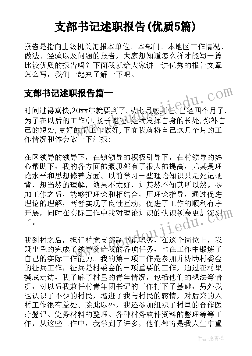 支部书记述职报告(优质5篇)