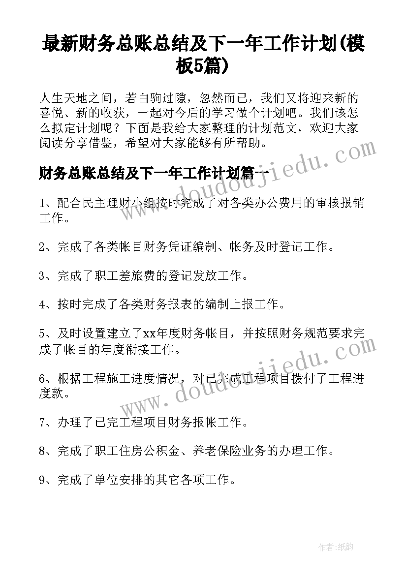 最新财务总账总结及下一年工作计划(模板5篇)