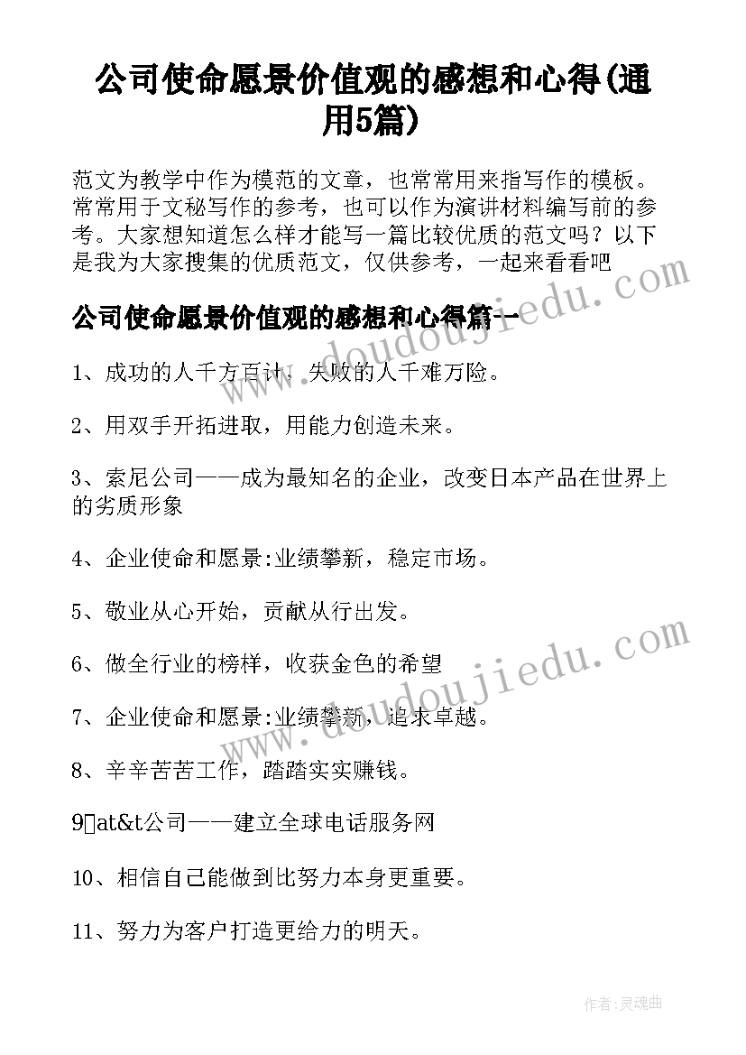 公司使命愿景价值观的感想和心得(通用5篇)