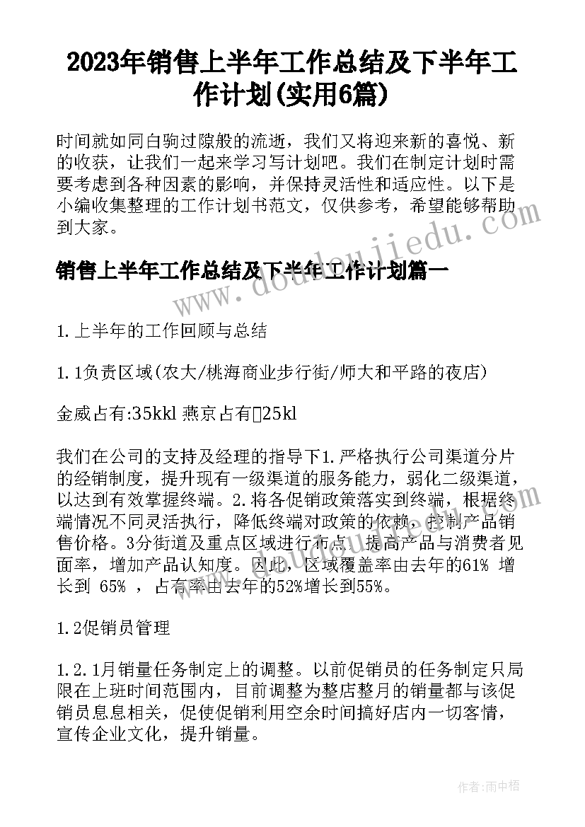 2023年销售上半年工作总结及下半年工作计划(实用6篇)