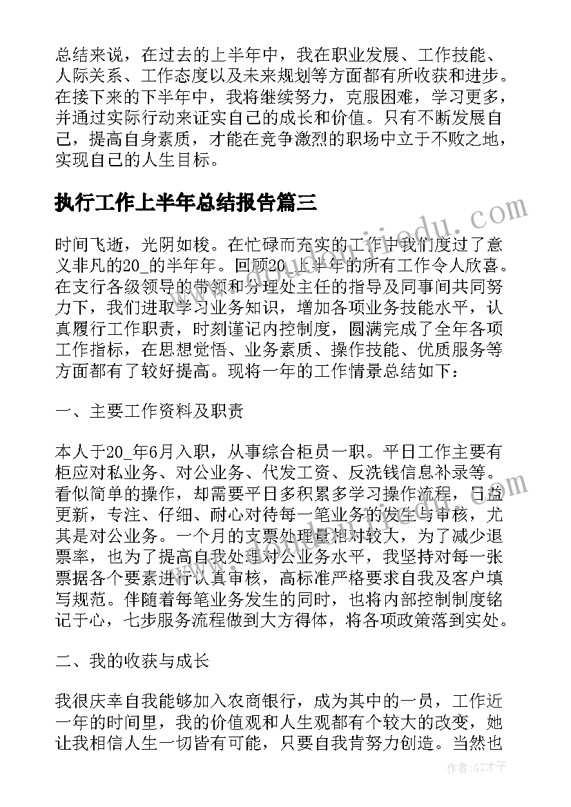 执行工作上半年总结报告(大全6篇)