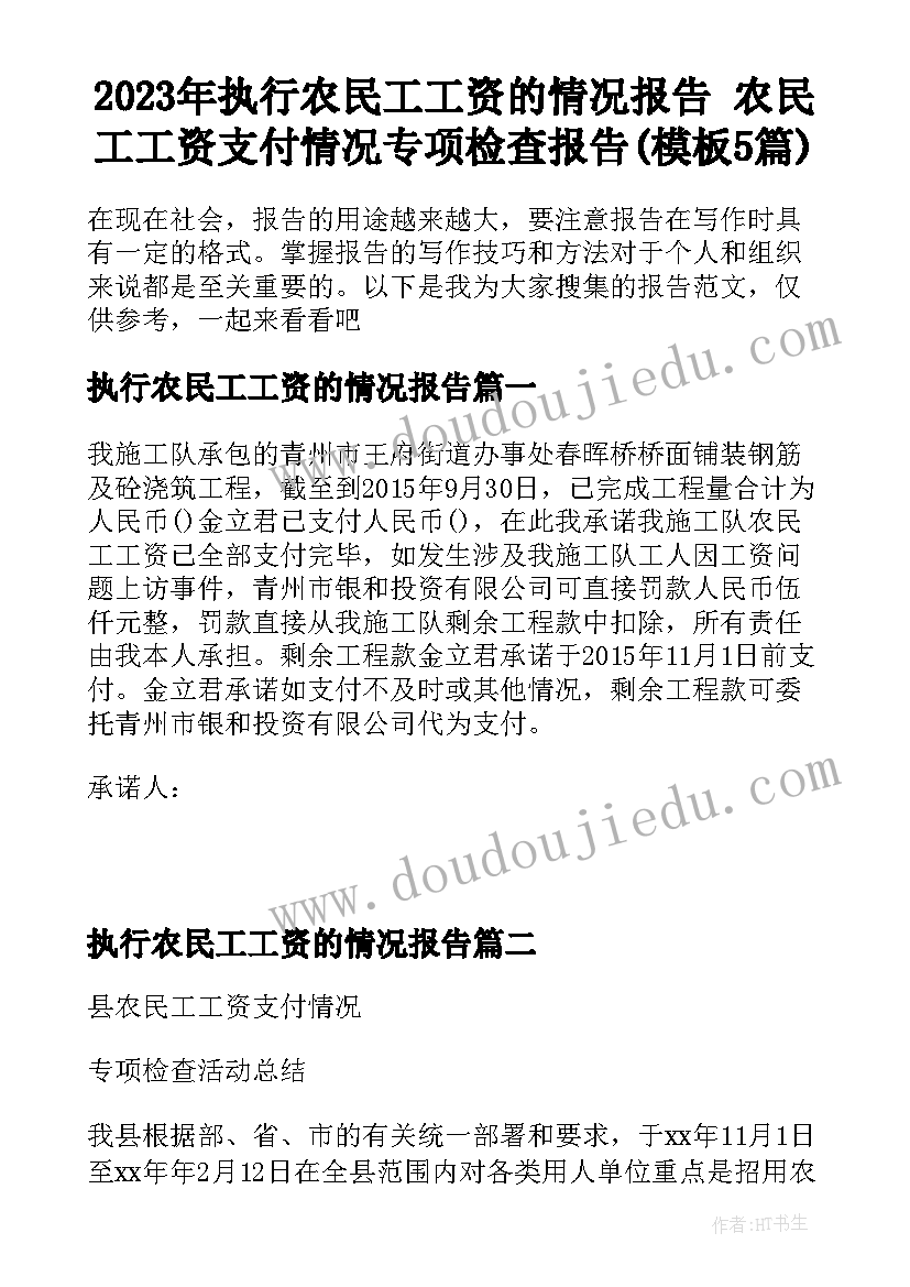 2023年执行农民工工资的情况报告 农民工工资支付情况专项检查报告(模板5篇)