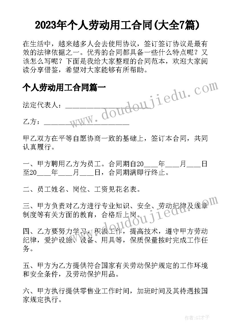 2023年个人劳动用工合同(大全7篇)