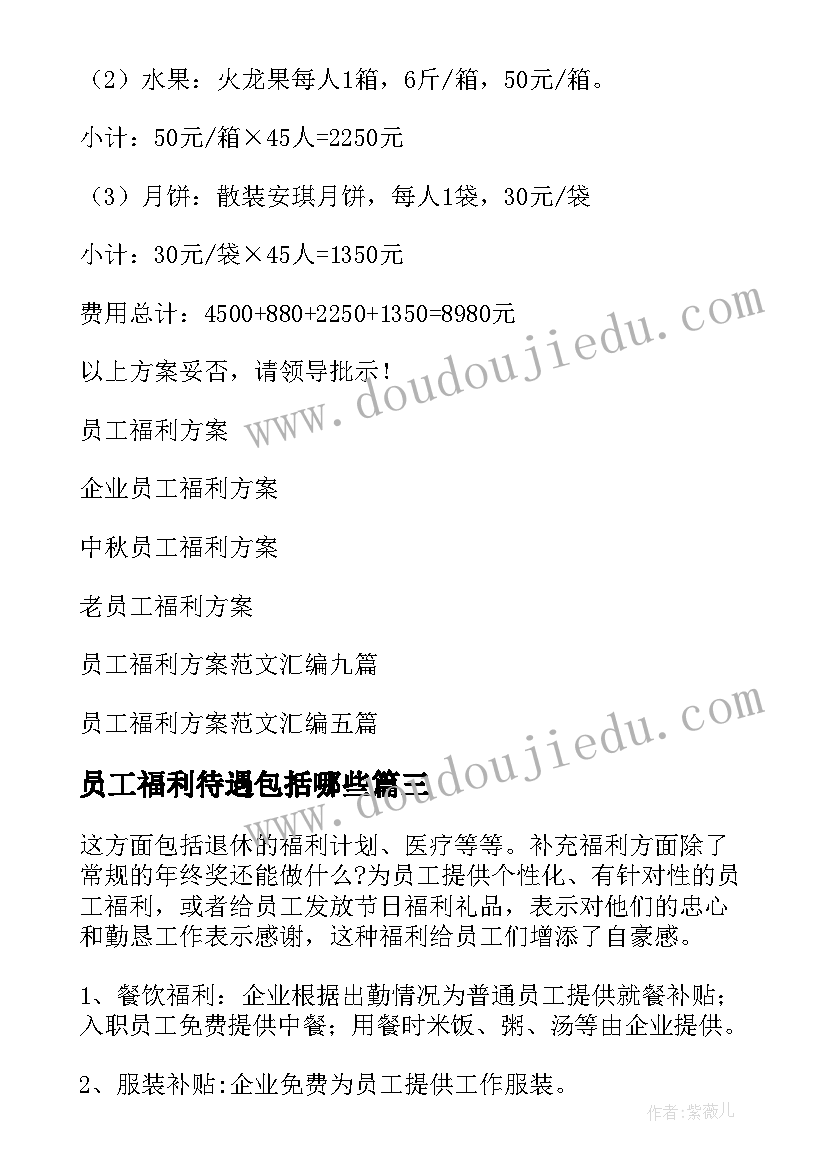 2023年员工福利待遇包括哪些 员工福利方案(通用8篇)