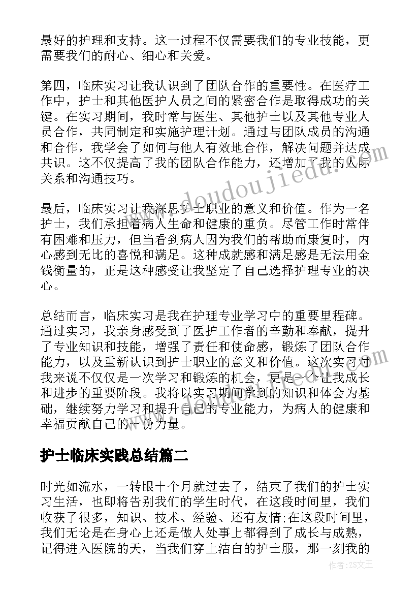 2023年护士临床实践总结(精选5篇)