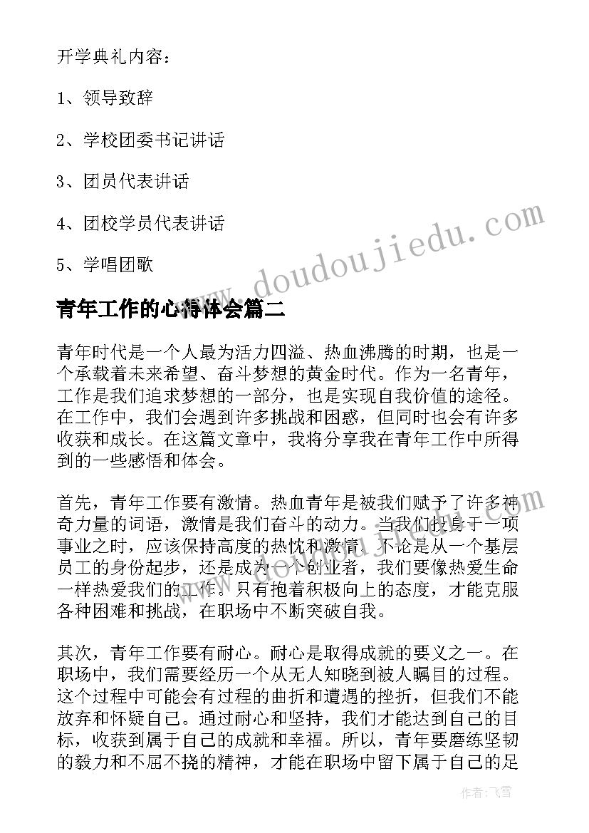 2023年青年工作的心得体会(优质6篇)