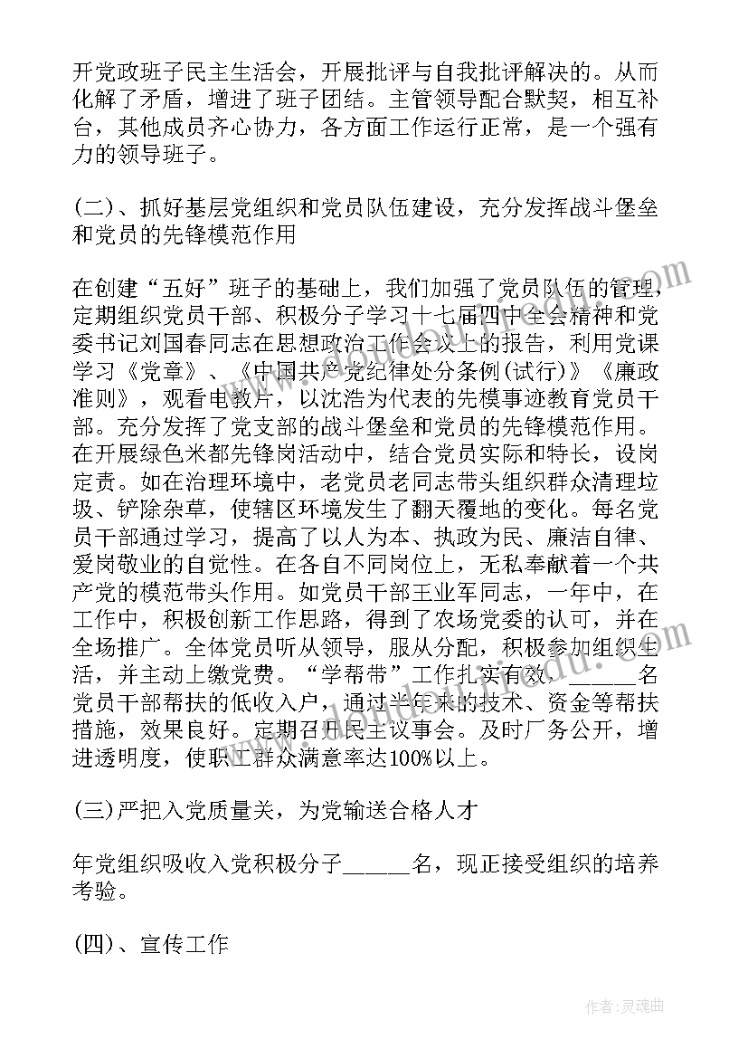 2023年村党支部副书记年度个人工作总结 党支部副书记个人工作总结(优秀5篇)