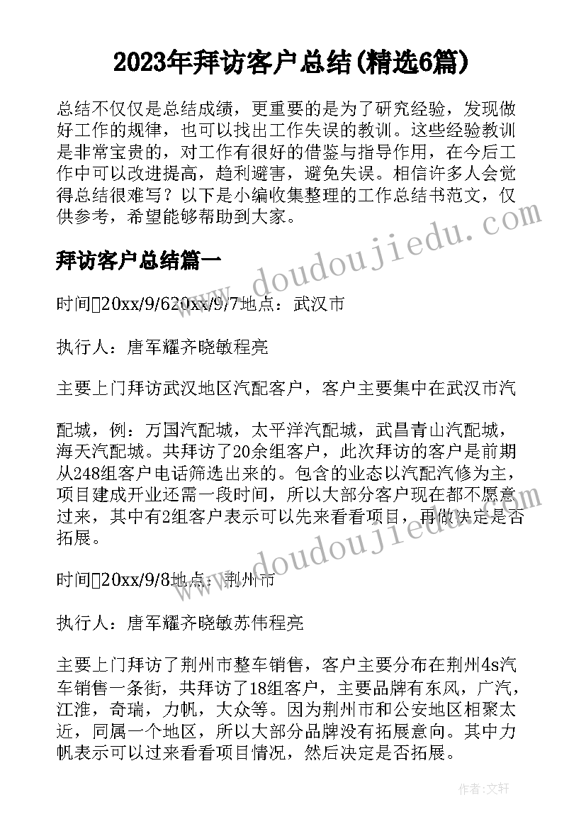 2023年拜访客户总结(精选6篇)