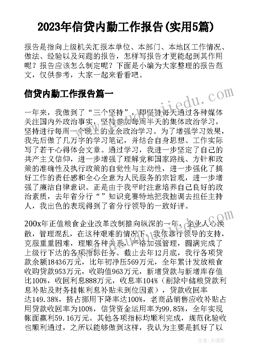 2023年信贷内勤工作报告(实用5篇)