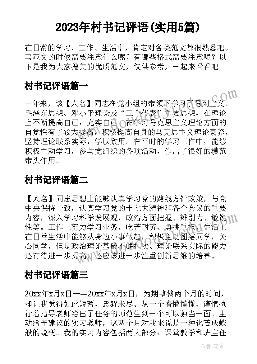 2023年村书记评语(实用5篇)