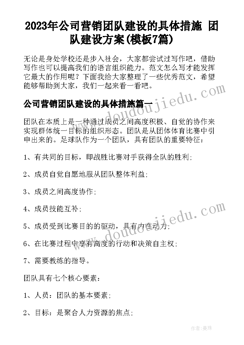 2023年公司营销团队建设的具体措施 团队建设方案(模板7篇)