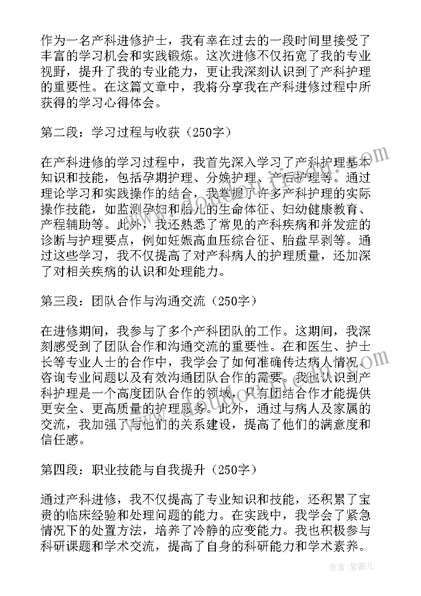 产科护士进修体会和收获总结(模板5篇)