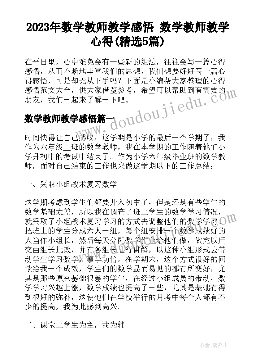 2023年数学教师教学感悟 数学教师教学心得(精选5篇)