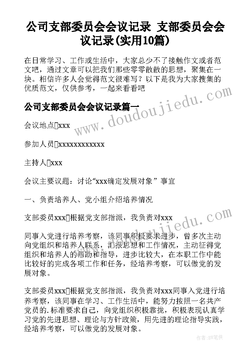 公司支部委员会会议记录 支部委员会会议记录(实用10篇)