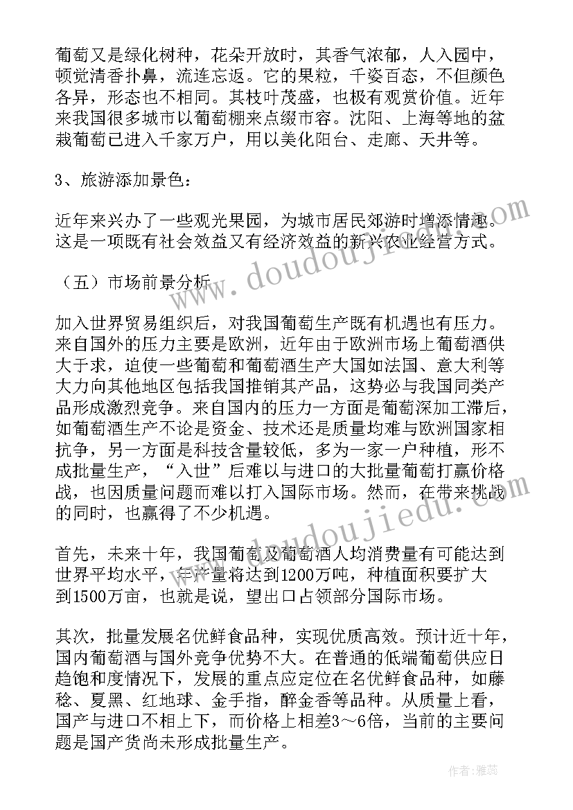 最新树木种植技术指导 油茶种植可行性报告(模板6篇)