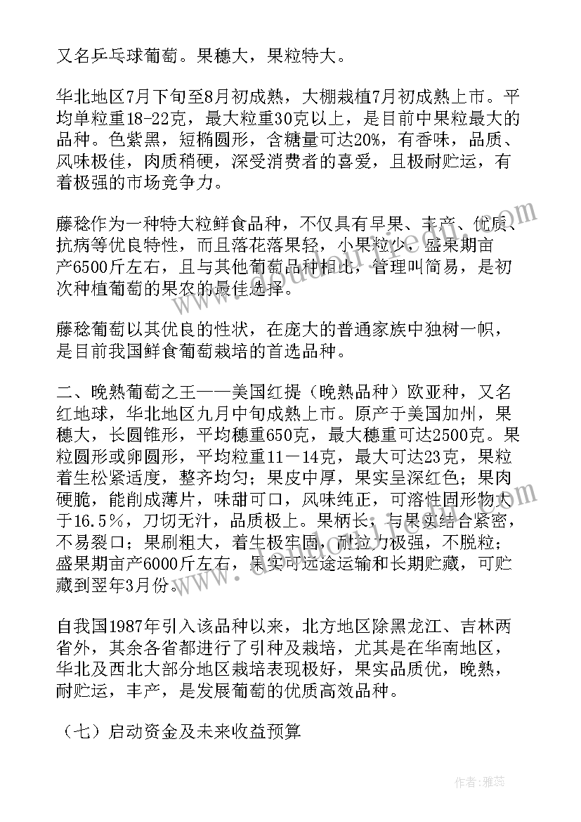 最新树木种植技术指导 油茶种植可行性报告(模板6篇)