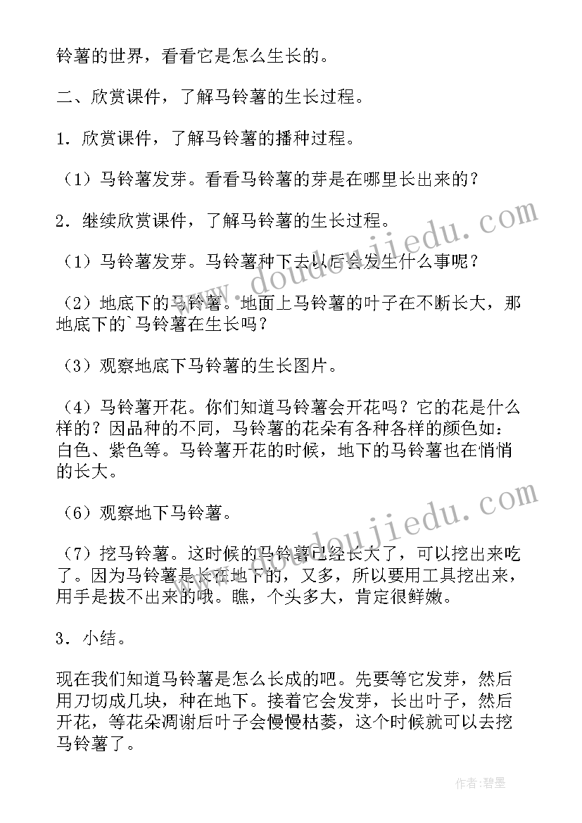 最新认识清明节活动反思 幼儿园中班科学教案认识水果含反思(通用5篇)