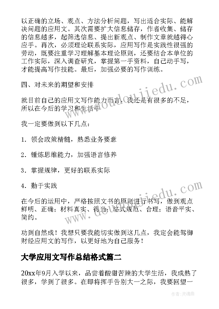 大学应用文写作总结格式(实用5篇)