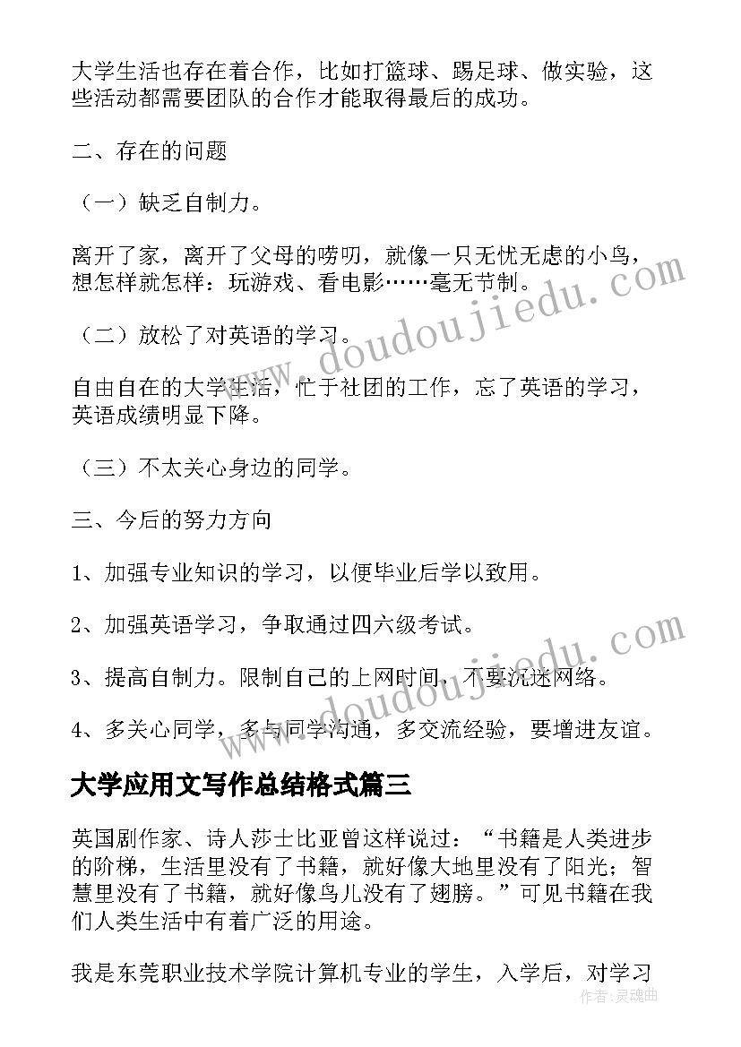 大学应用文写作总结格式(实用5篇)