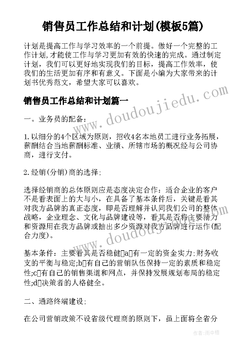 销售员工作总结和计划(模板5篇)