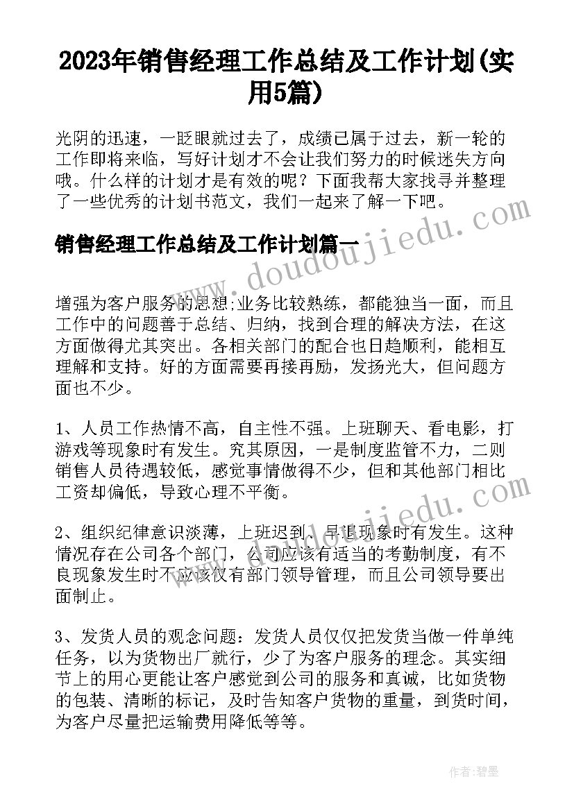 2023年销售经理工作总结及工作计划(实用5篇)