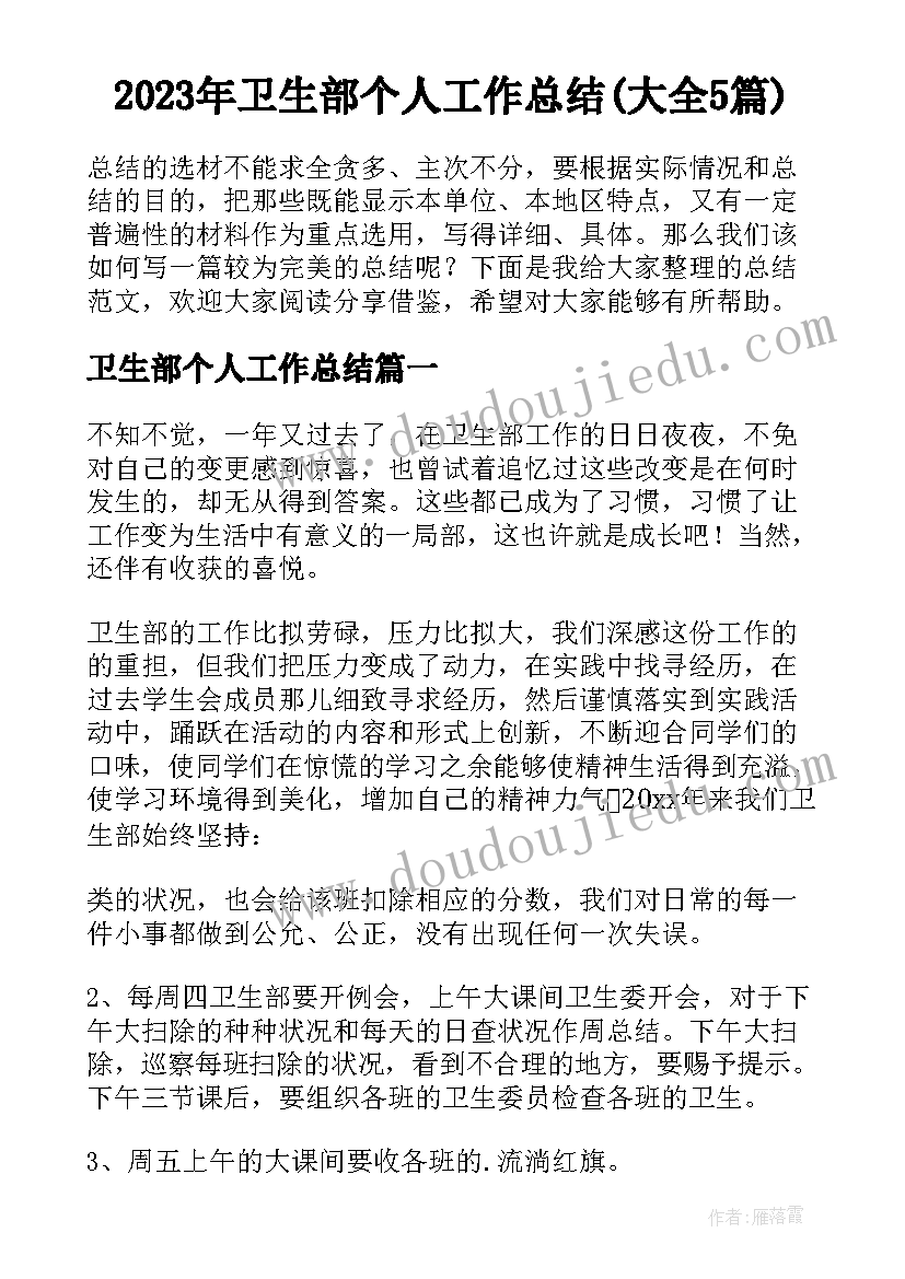 2023年卫生部个人工作总结(大全5篇)