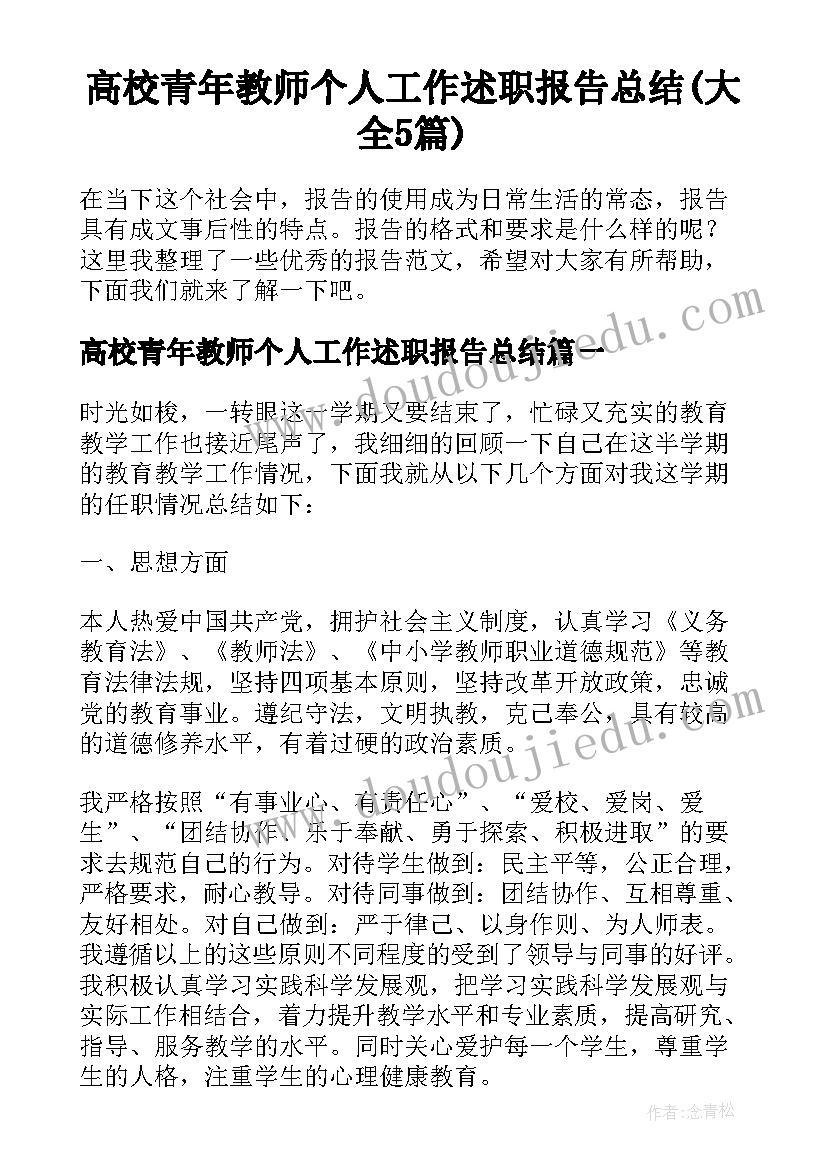 高校青年教师个人工作述职报告总结(大全5篇)