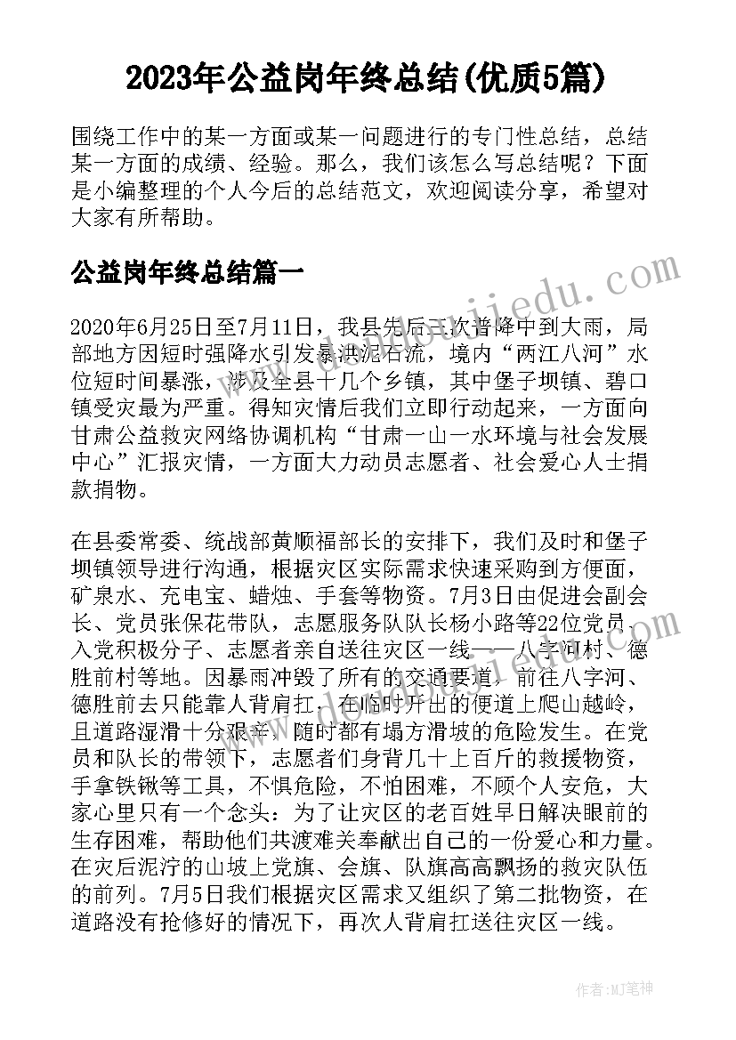 2023年公益岗年终总结(优质5篇)