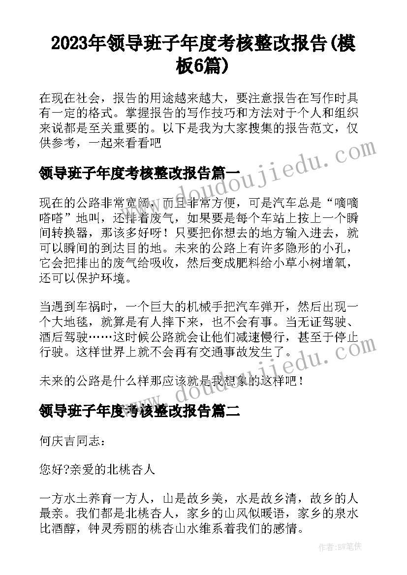 2023年领导班子年度考核整改报告(模板6篇)