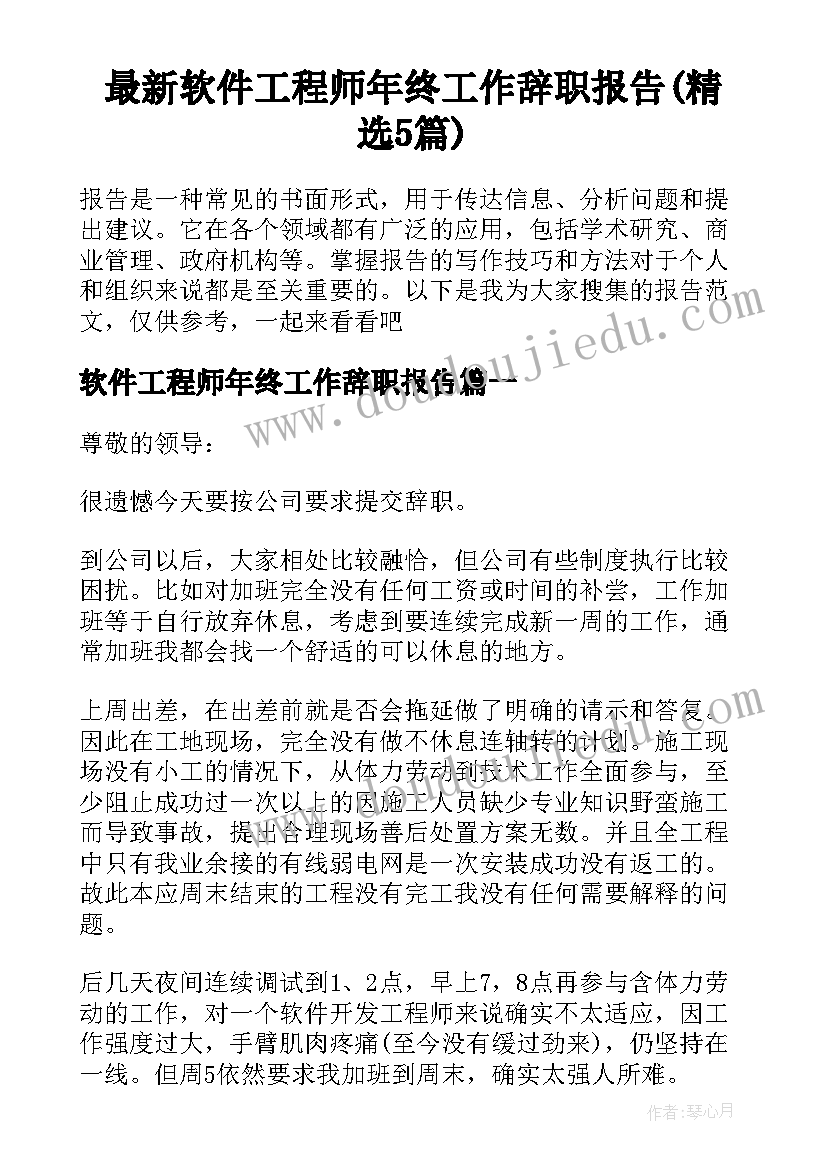 最新软件工程师年终工作辞职报告(精选5篇)