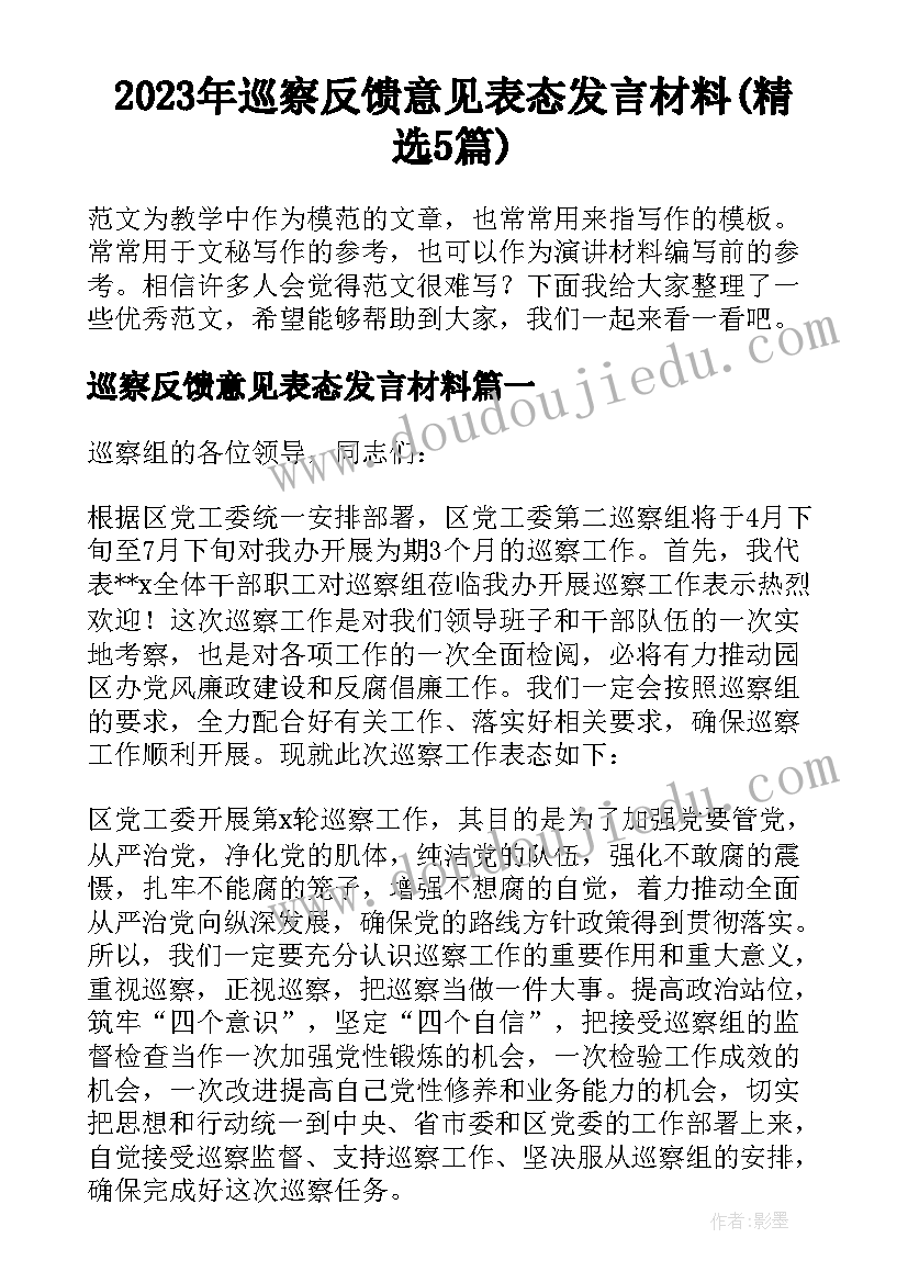 2023年巡察反馈意见表态发言材料(精选5篇)