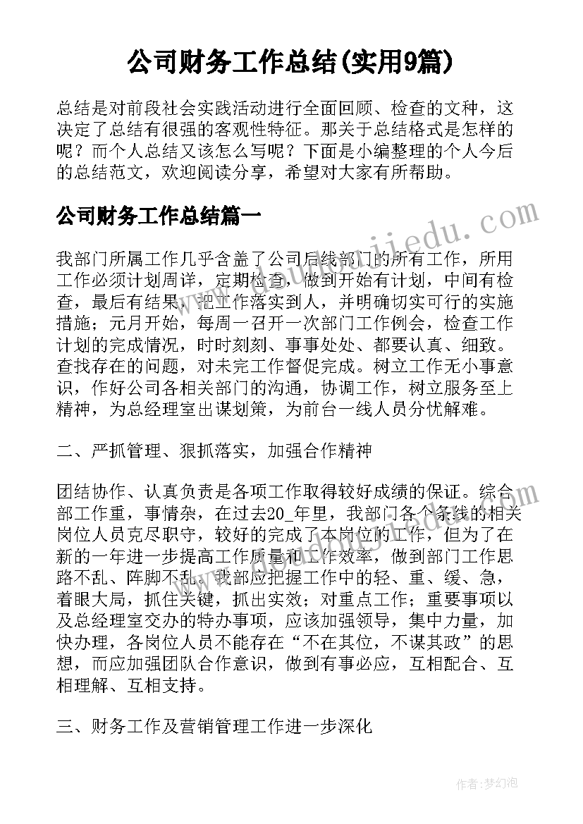 公司财务工作总结(实用9篇)