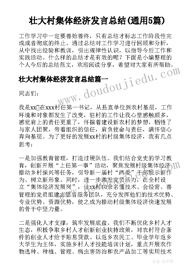 壮大村集体经济发言总结(通用5篇)