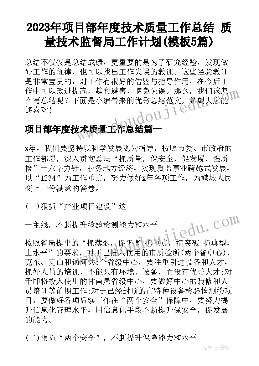 2023年项目部年度技术质量工作总结 质量技术监督局工作计划(模板5篇)