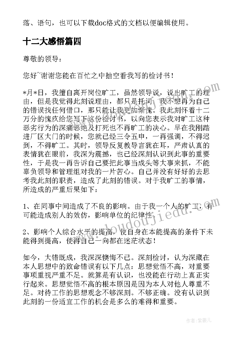 最新十二大感悟(实用7篇)