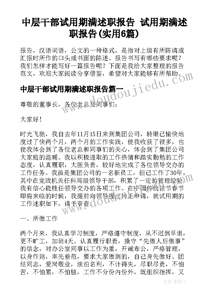 中层干部试用期满述职报告 试用期满述职报告(实用6篇)