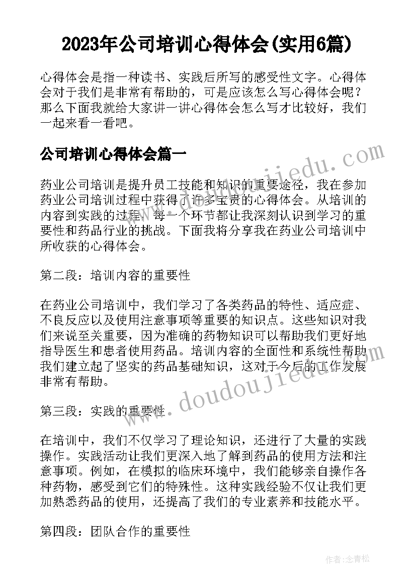 2023年公司培训心得体会(实用6篇)