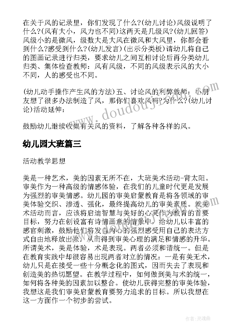 幼儿园大班 幼儿园大班美术活动方案(优秀9篇)