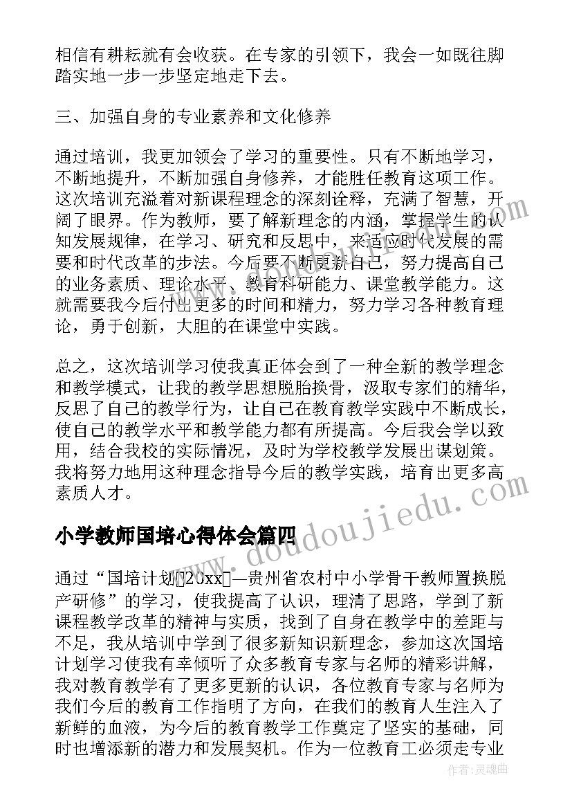 2023年小学教师国培心得体会(精选7篇)