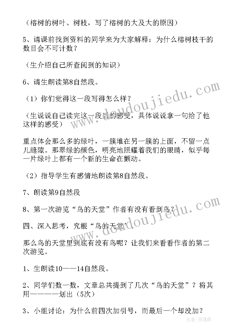 最新鸟的天堂教案设计(优质5篇)